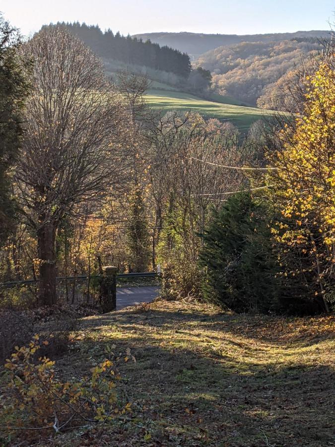 Bed and Breakfast Strawberry Hill Chissey-en-Morvan Exteriér fotografie